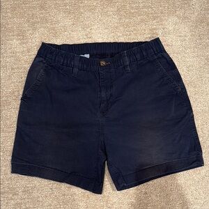 Chubbies Classic Navy Blue Shorts